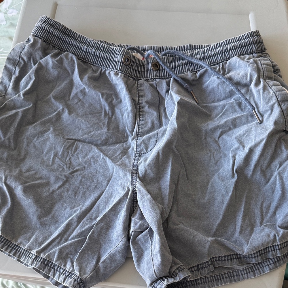 Men's Classic Gray Swim Trunks